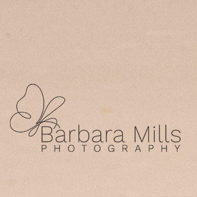 Buddy and Summer Eyes