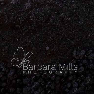 Where the Tide Waits