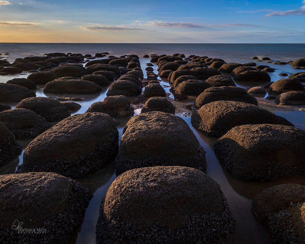 Where the Tide Waits