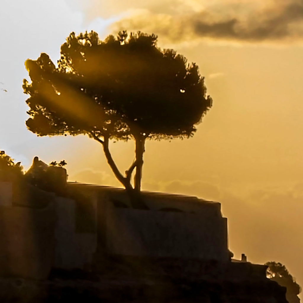 Benissa Costa Sunrise