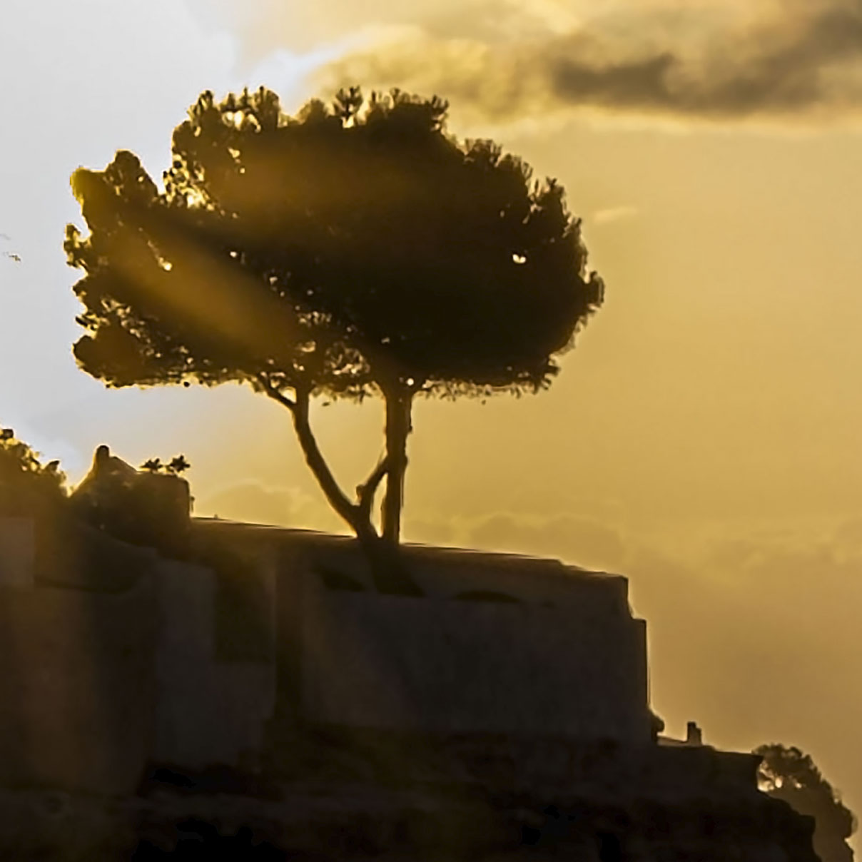 Benissa Costa Sunrise