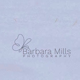 A Stroll in the Snow