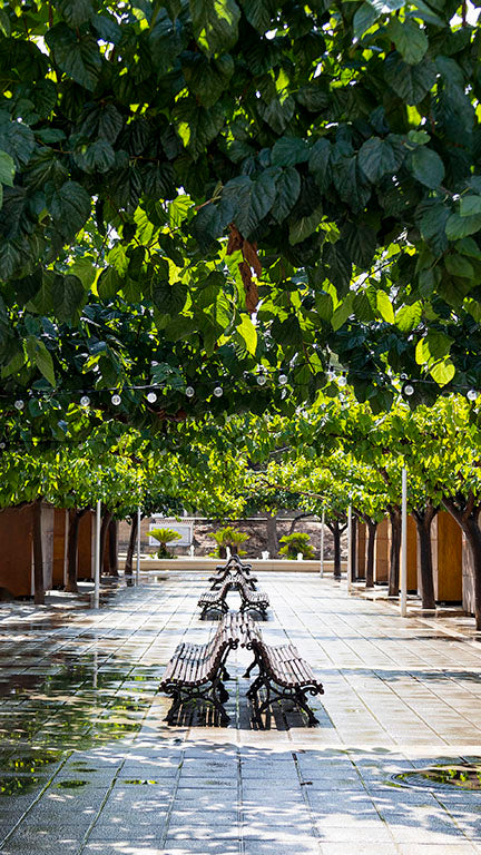 Moraira Walk