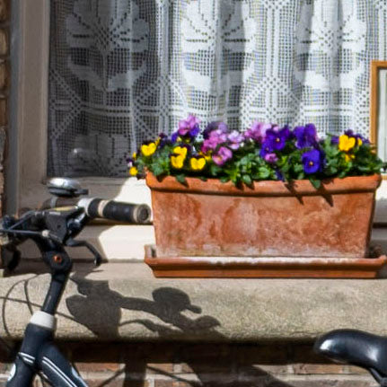 The Delivery Service