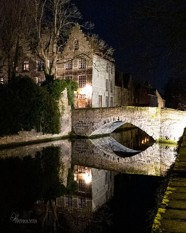 The Night Bridge