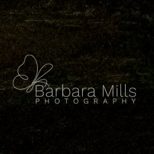 Night-Time Reflections