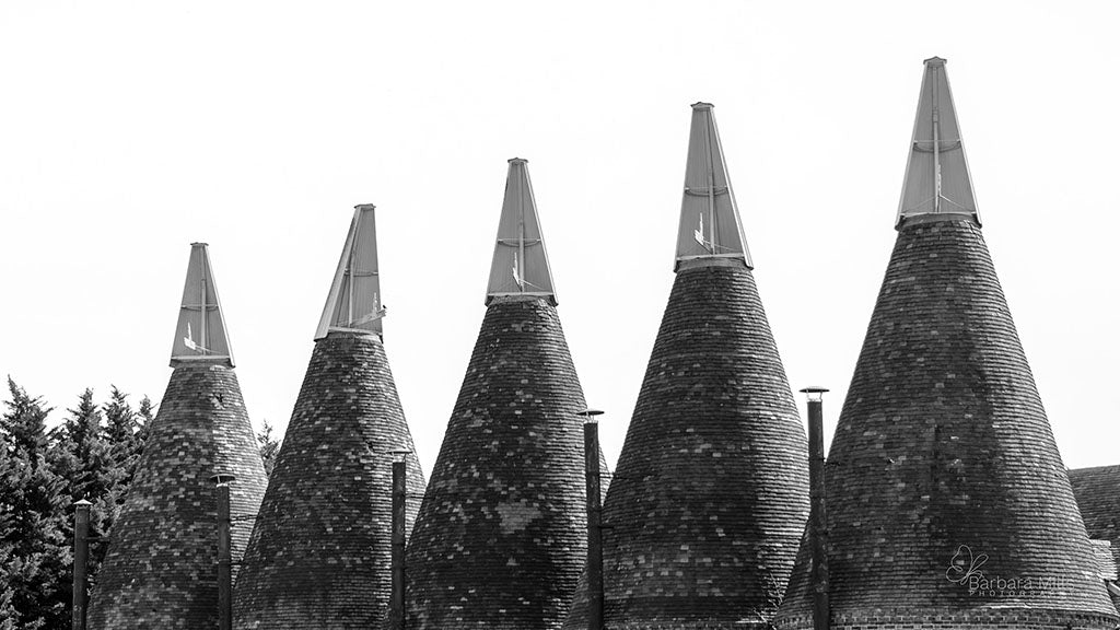 Oast Houses