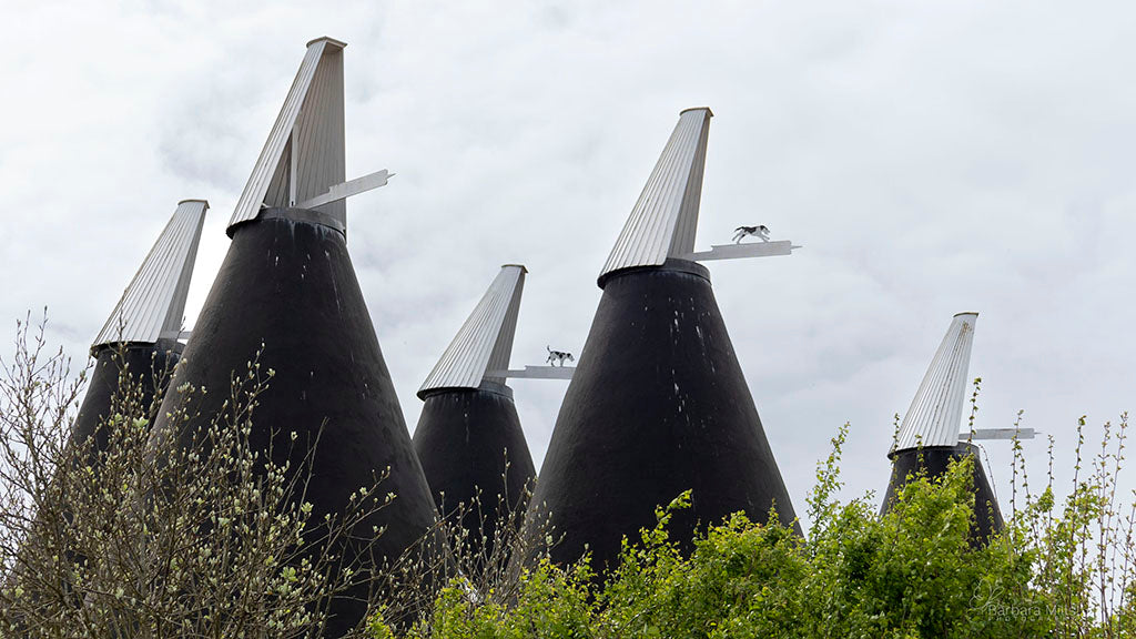 Oast Houses Dogs