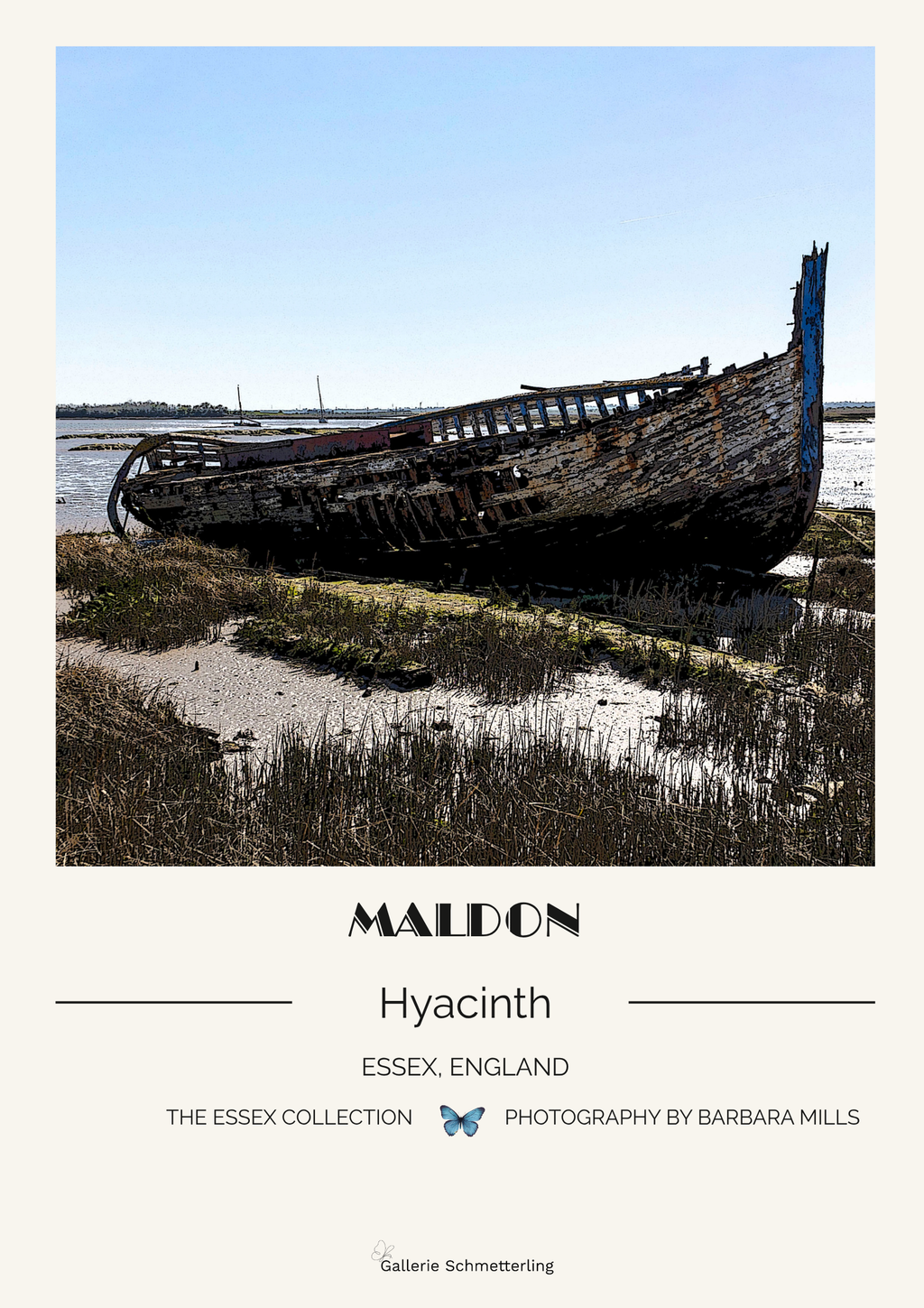 Maldon - Hyacinth