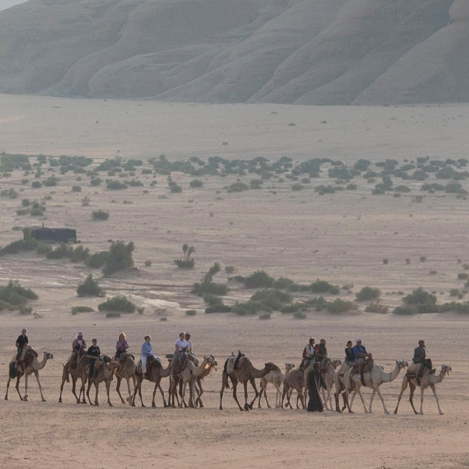 Camel Ride