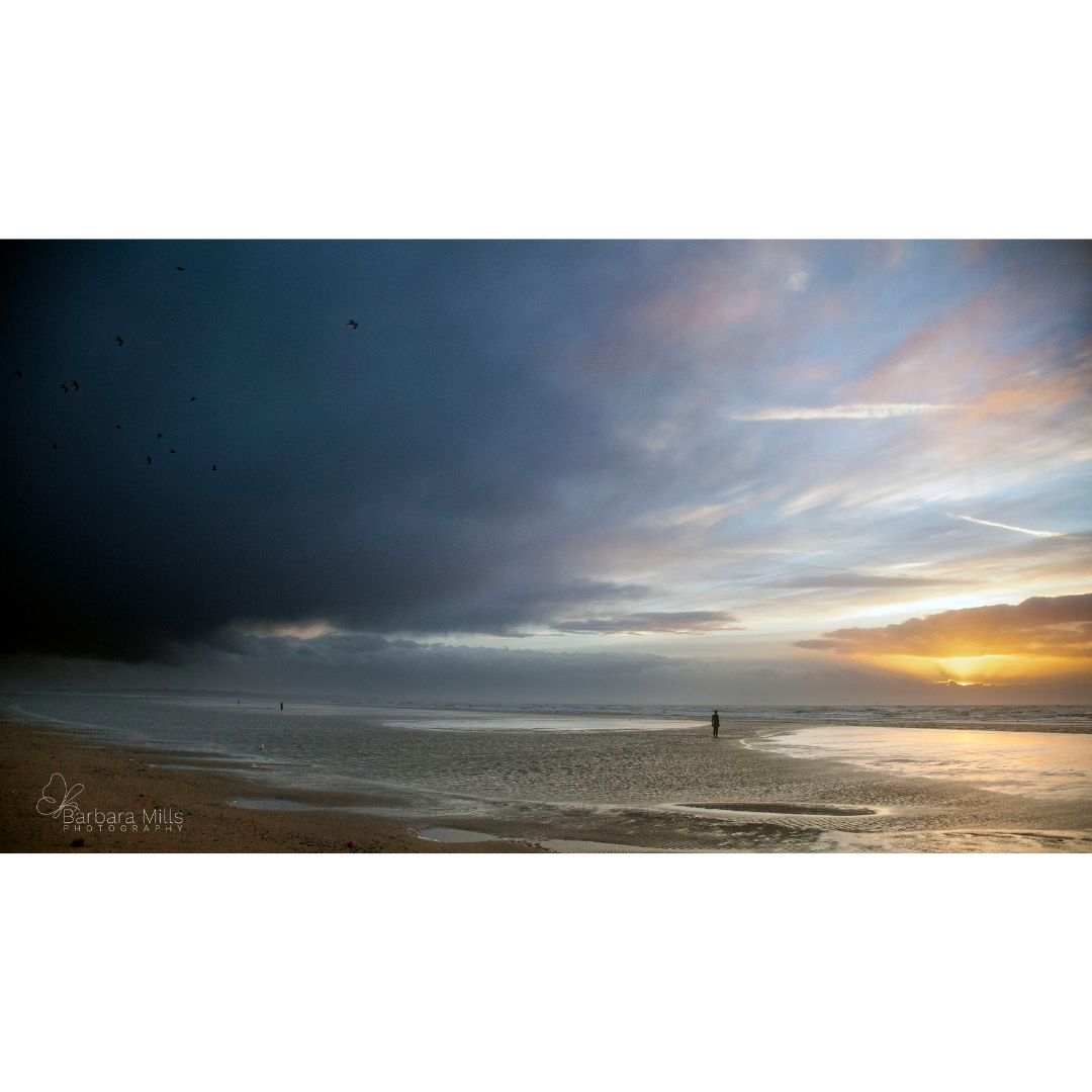 Crosby Sunset