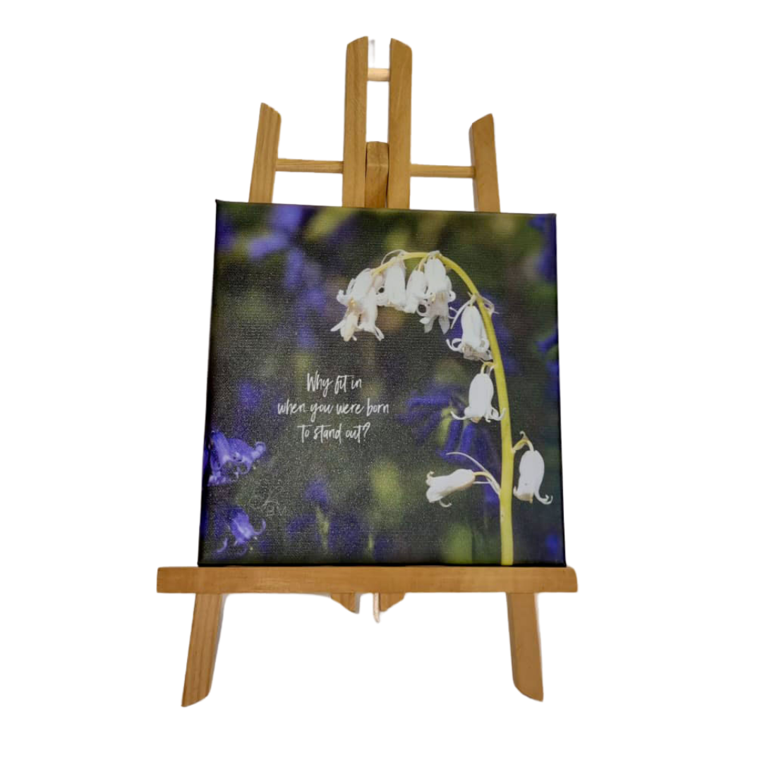 Mini Canvas Collection