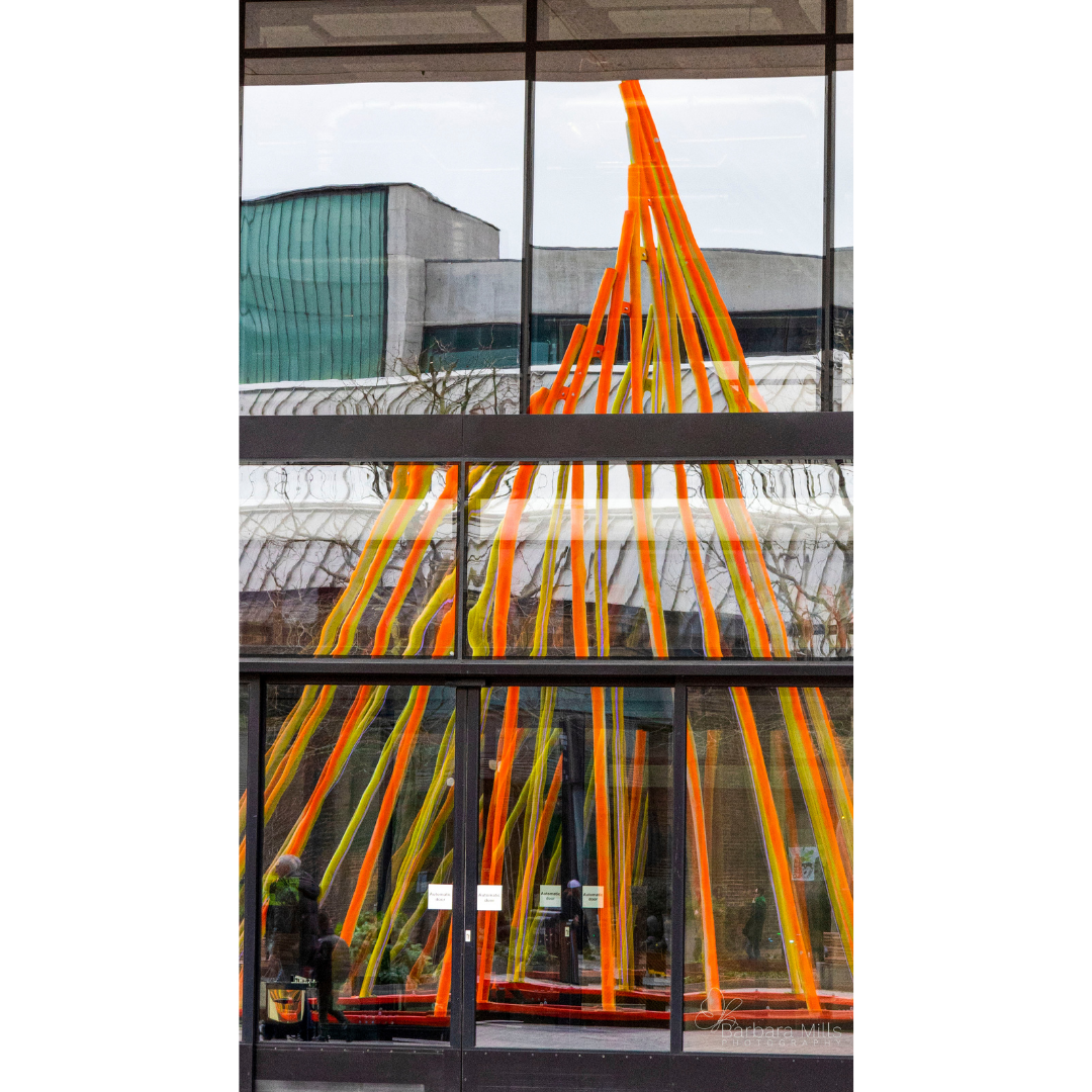 Distorted Reflections