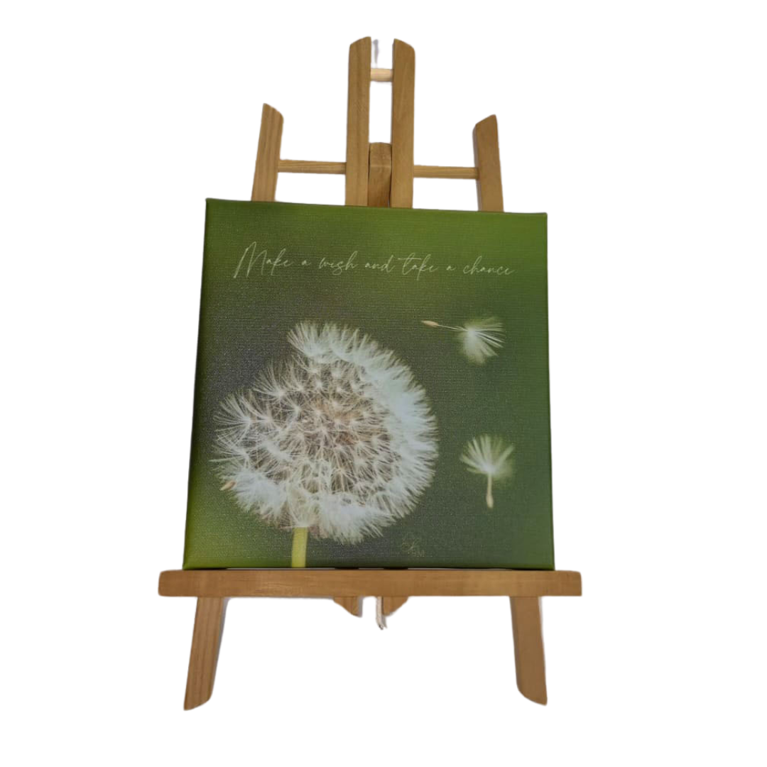 Mini Canvas Collection
