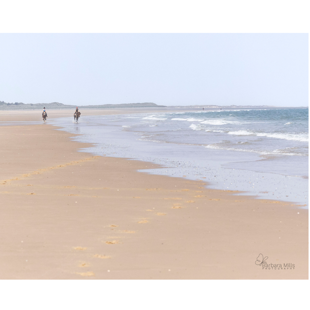 Buddy and Summer Eyes