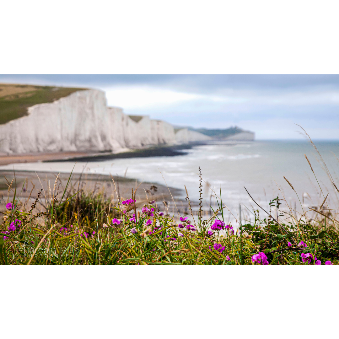 The Flowers of Seven Sisters