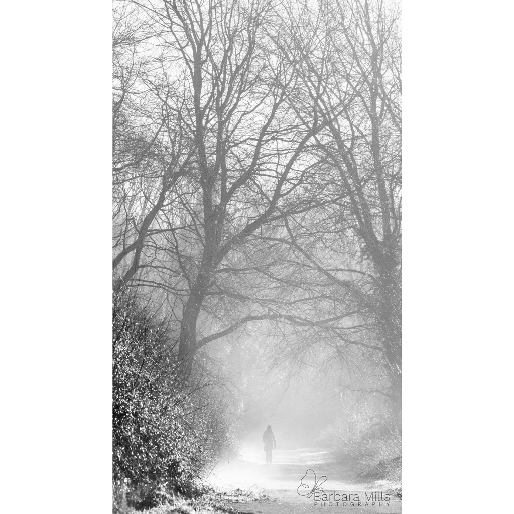 Misty Winchester