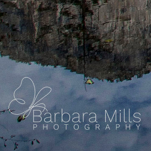 Reflections of El Capitan