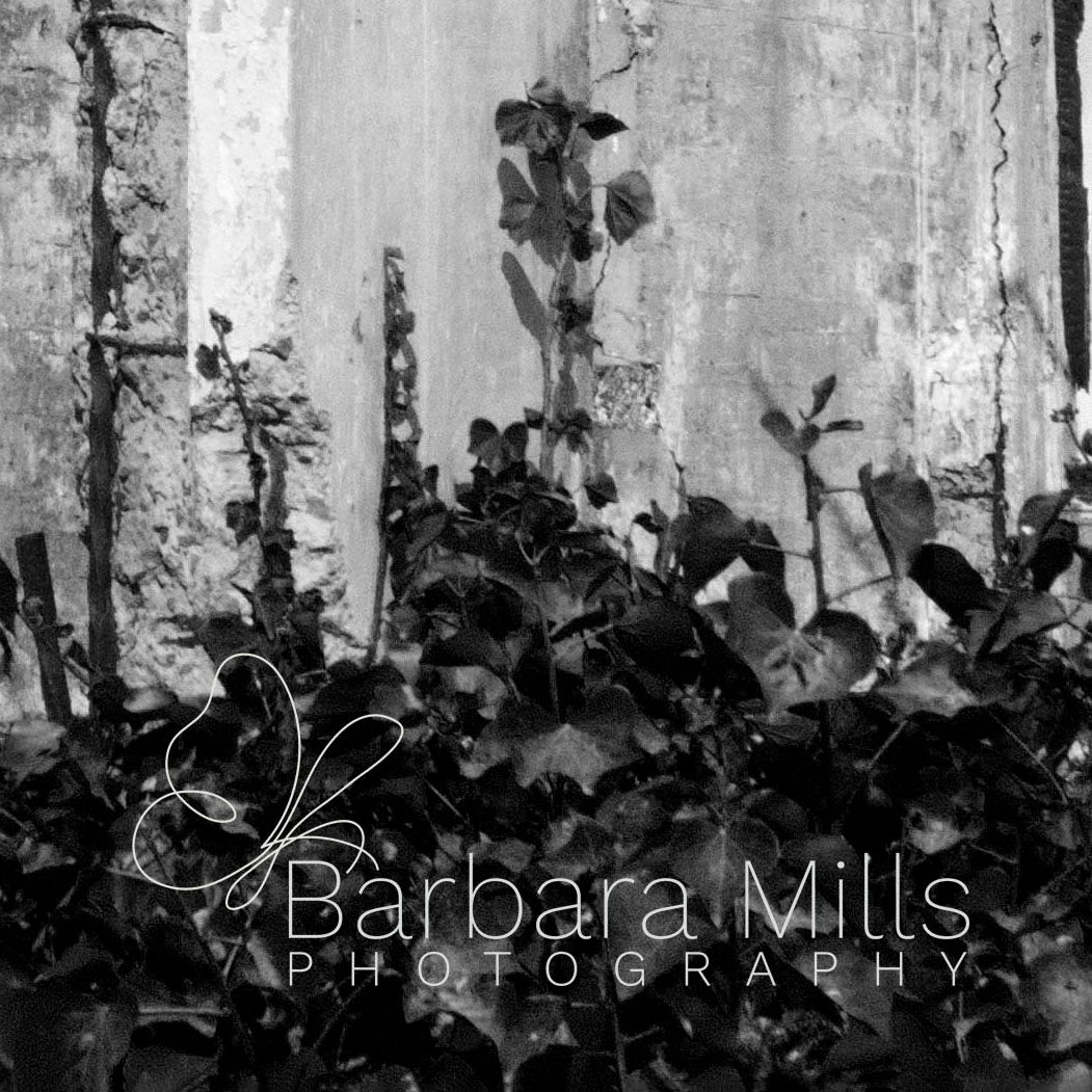 The Walls of Alcatraz