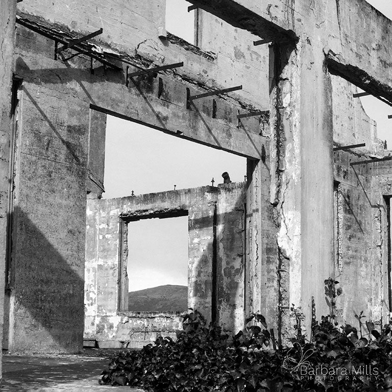 The Walls of Alcatraz
