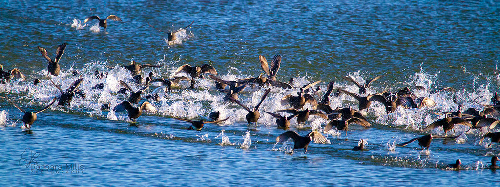 Morning Rush Hour