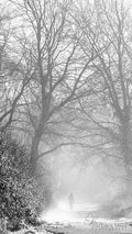 Misty Winchester