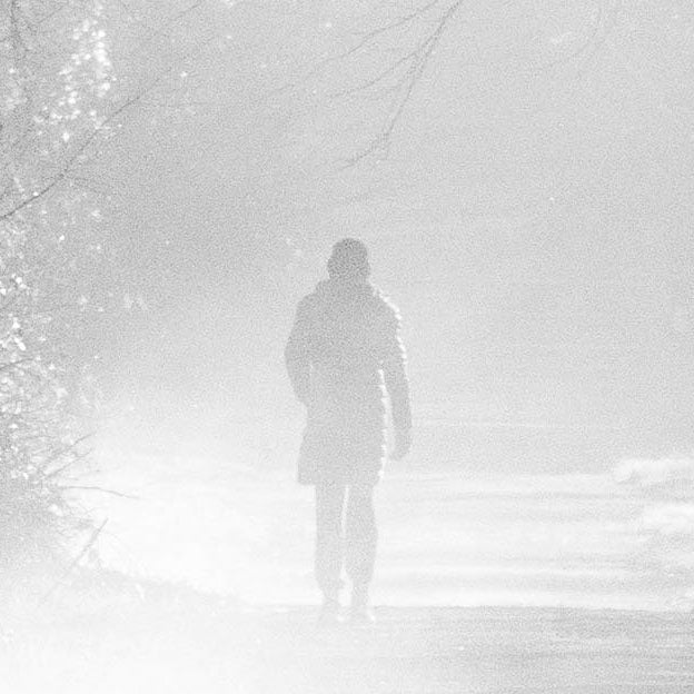 Misty Winchester