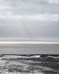 Kite Surfers