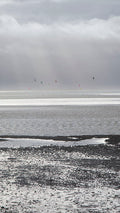 Flying Across the Surf