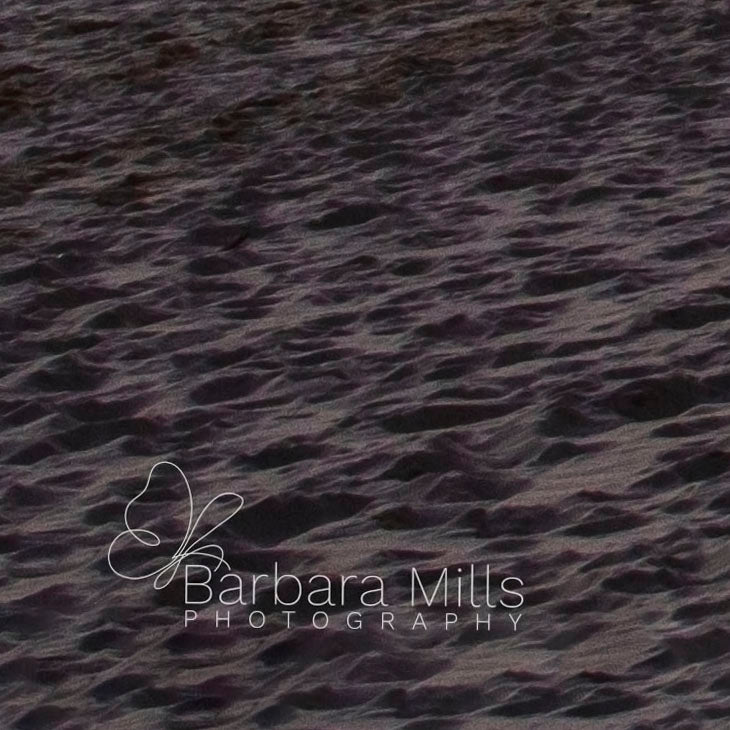 The Huts at First Light