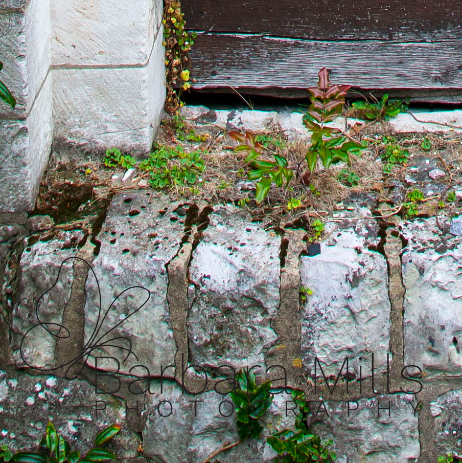 Door in the Tower
