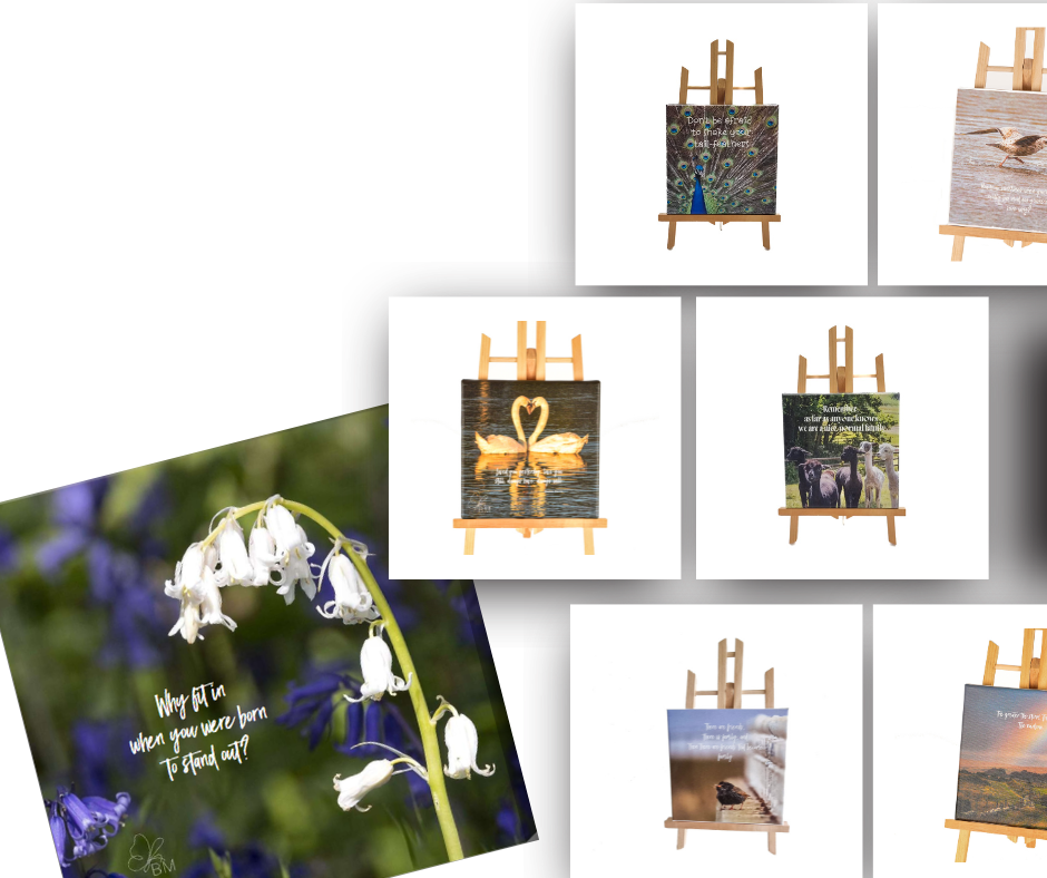 Mini Canvas Collection