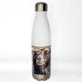 Water bottles